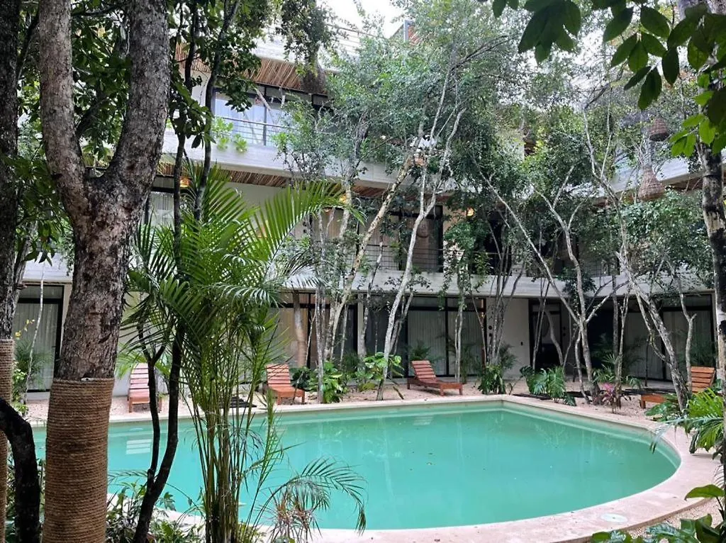 Great Apartment In Tulum Ab5